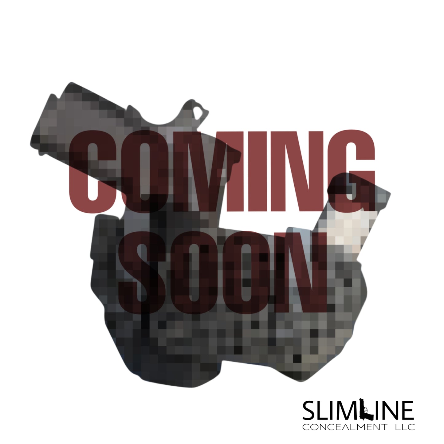 AIWB Sidecar Holster